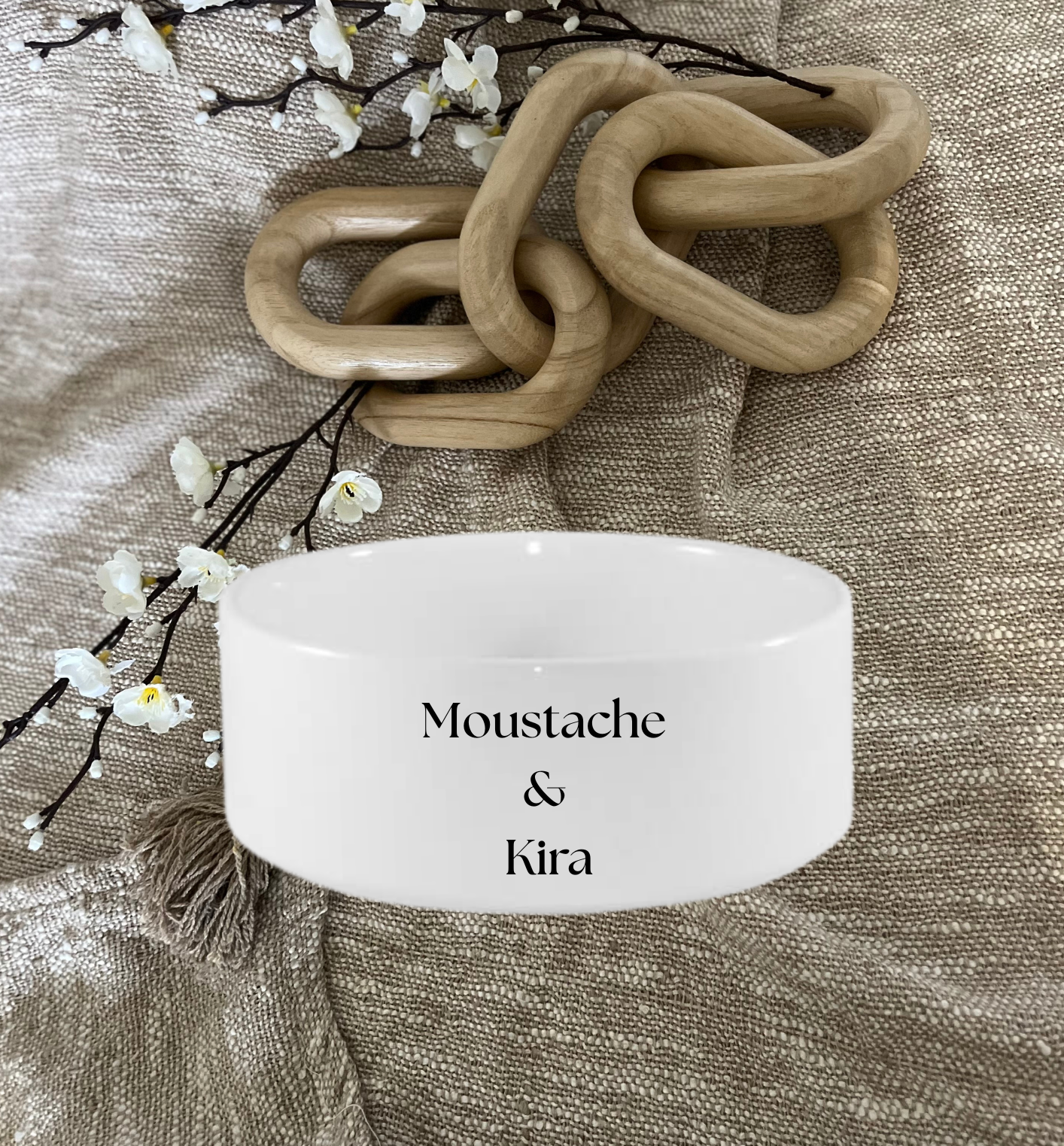 Gamelle Chien & Chat